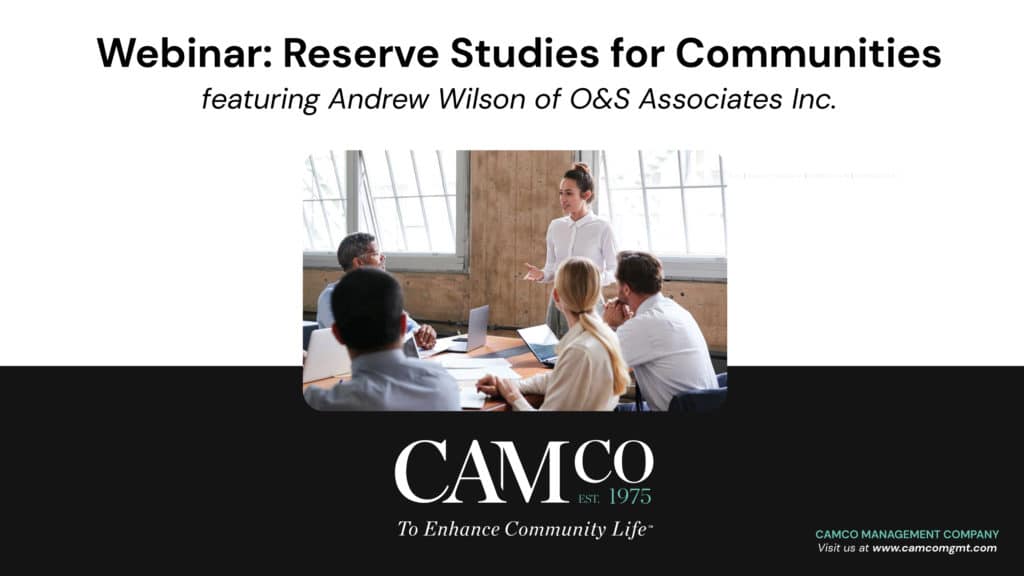 Camco Template andrew wilson rserve studies scaled