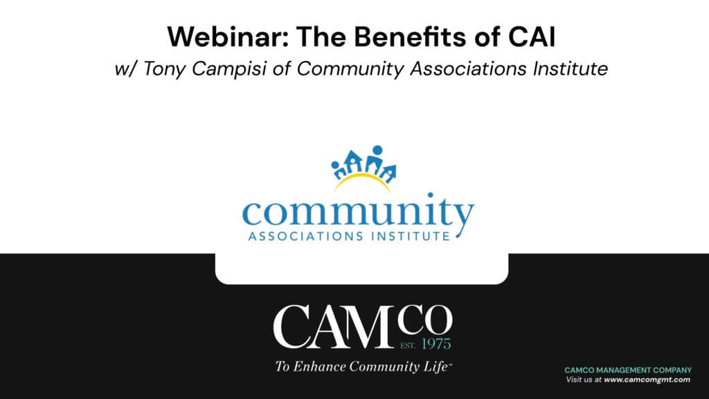 The Beenfits of CAI 2 8 22 scaled